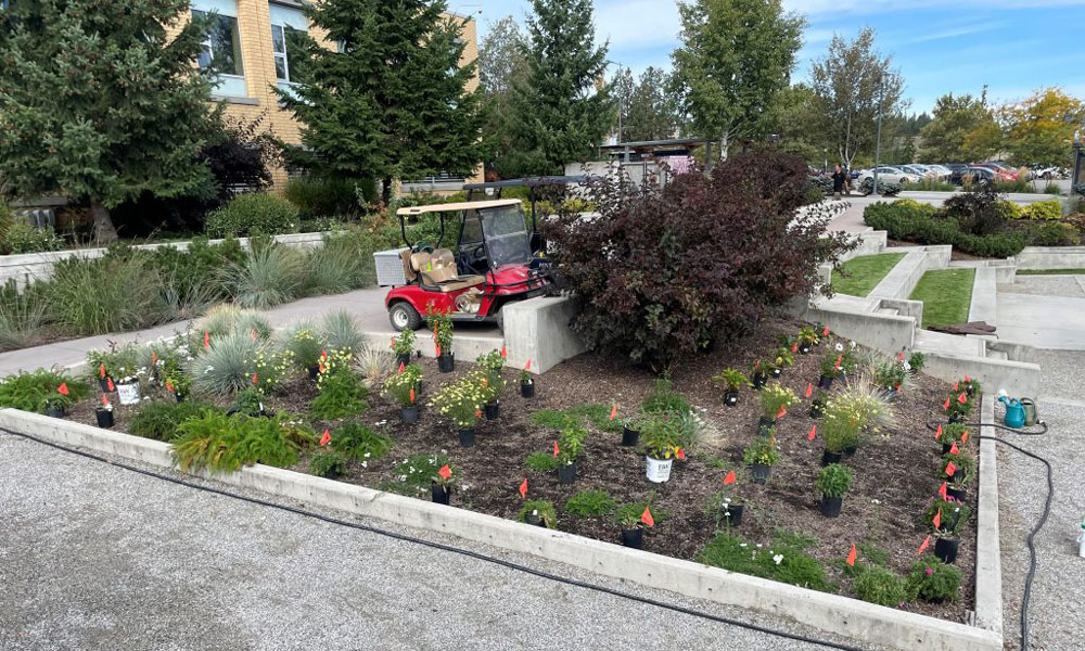 A garden plot with a golf cart parked close by.